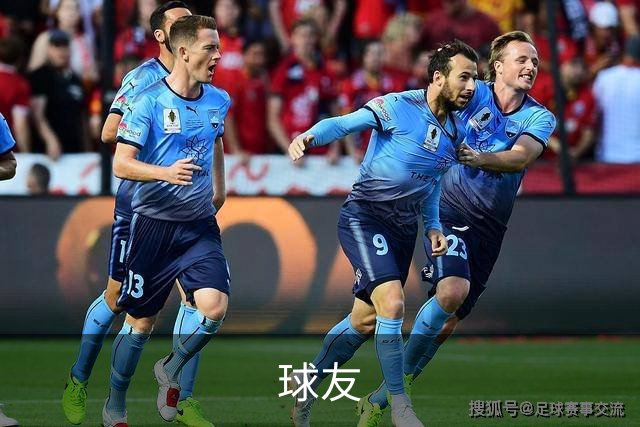 球友 公司简介